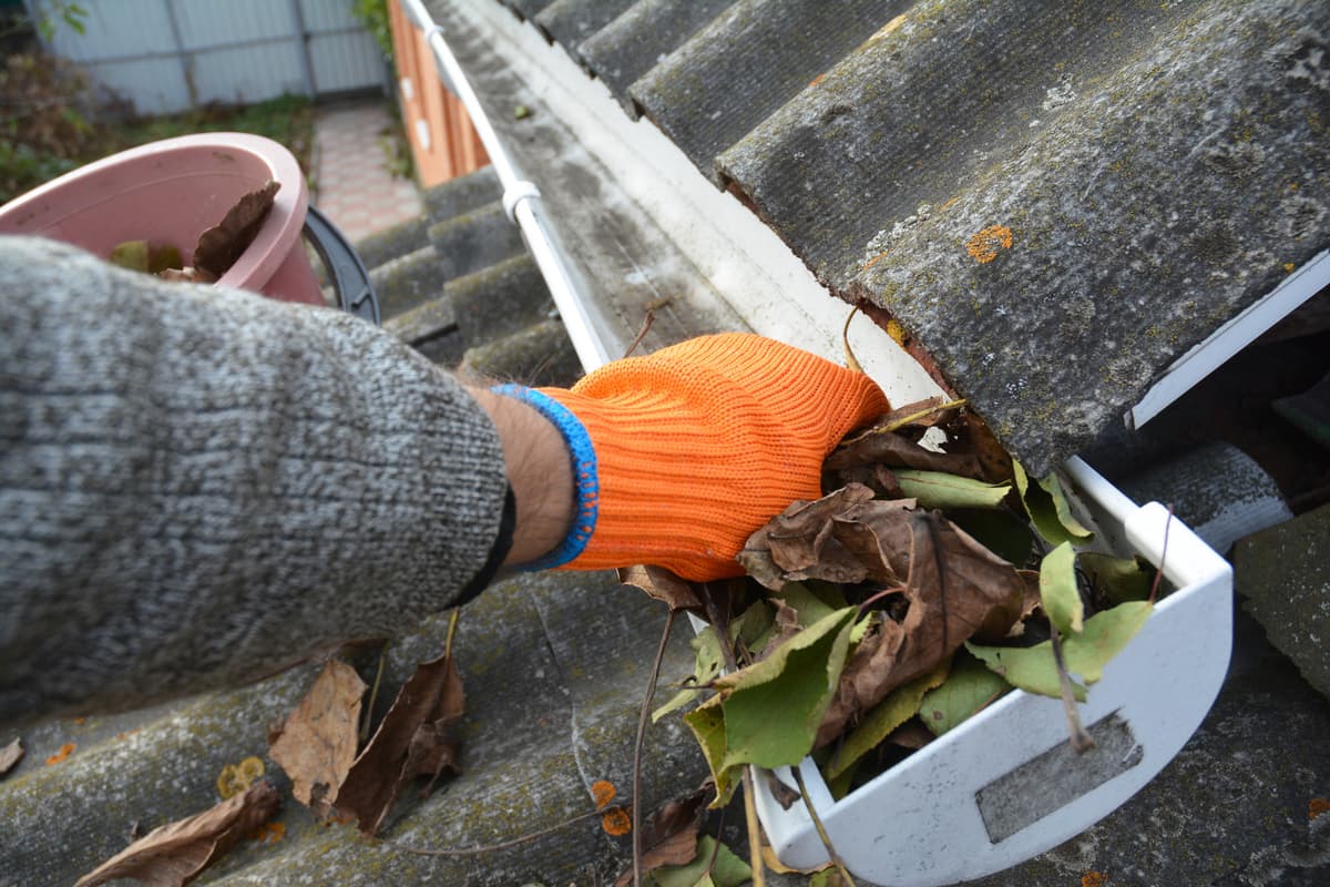 Gloved hand clearing leaves and debris from a roof gutter